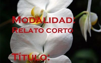 CARTA DE AMOR